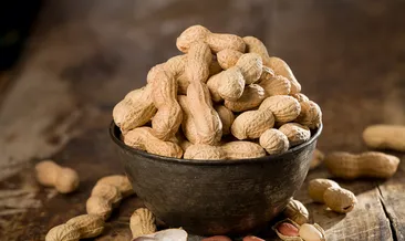 Yer fıstığı alerjisi önlenebilir