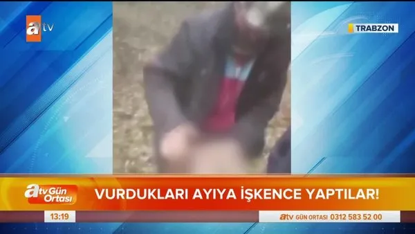 Trabzon'da tepki çeken şok görüntüler! Vurdukları ayıya işkence yaparken video çektiler | Video