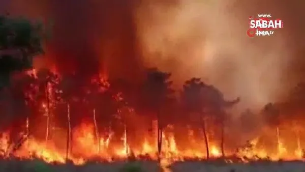 Fransa'daki orman yangınları söndürülemiyor | Video