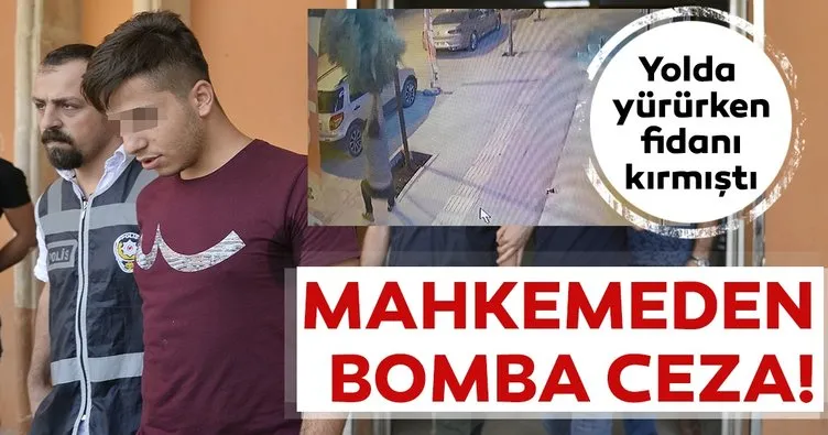 Son dakika: Mardin Kızıltepe’de kaldırımdaki fidanı kırmıştı! 100 fidan dikme cezası verildi