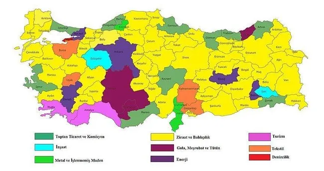 Türkiye’nin sektörel kredi haritası