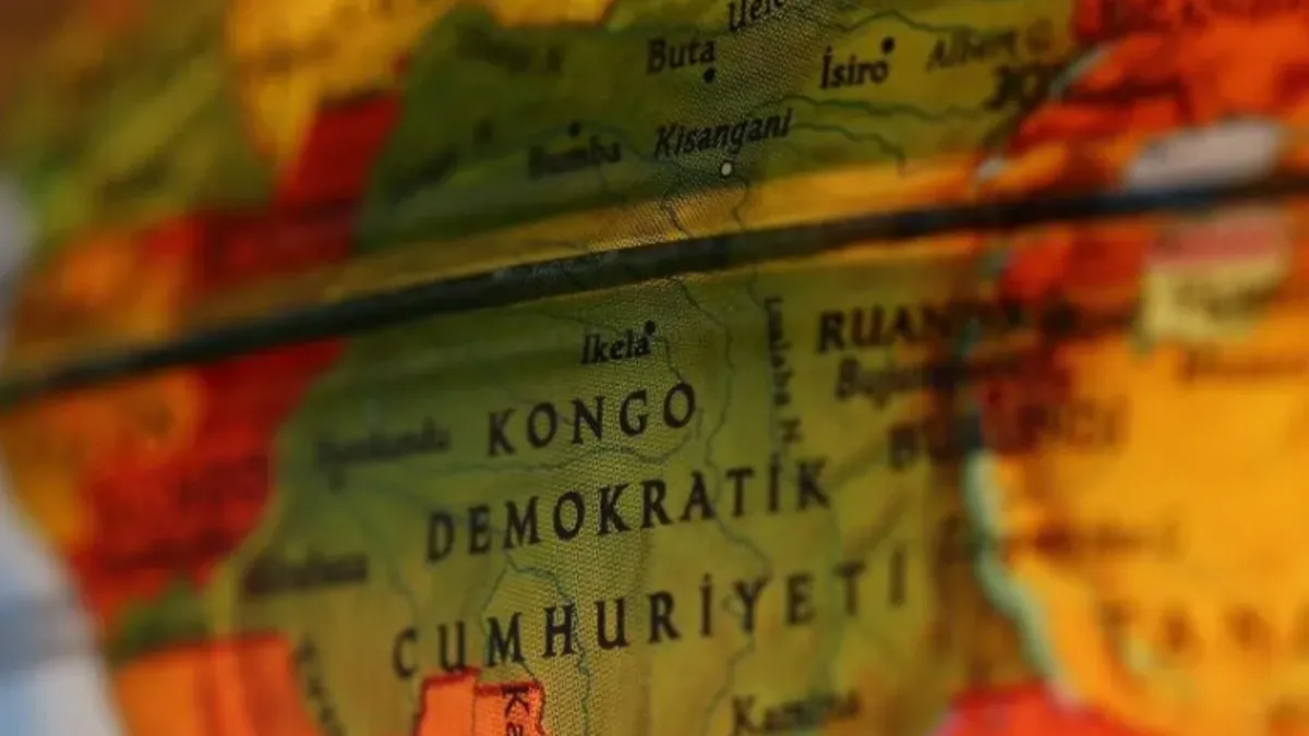 Kongo Demokratik Cumhuriyeti'nde keşfedilen, pembe dudaklı yeni maymun türü.