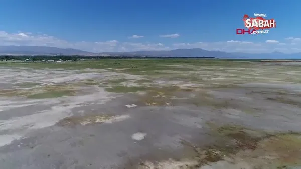 Van Gölü çekilince tarihi kale ortaya çıktı | Video