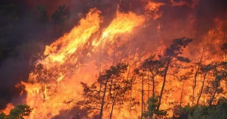 Marmaris’te yangın çıkmıştı: Alevlerin ilerlemesi böyle önlenmiş