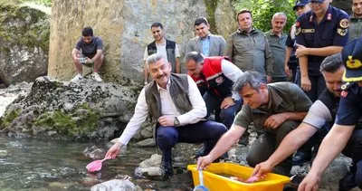 Artvin'de Hatila Vadisi'ne 5 bin alabalık yavrusu bırakıldı #artvin