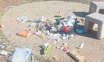 Melih ABİ: Piknikçiler yemiş içmiş çöpünü ortaya bırakmış