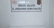 Bingöl’de 1.410 kök kenevir ele geçirildi