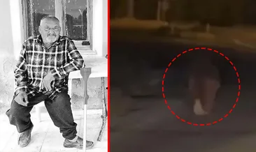 izmir’de ayı dehşeti! Evinde uyuyan adamın başına gelmeyen kalmadı: Balkondan alıp 20 metre boyunca... #izmir