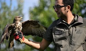Elektrik akımı yüzünden felç geçirmişti! Kızıl Şahin'i hayata döndüren sihirli eller... #duzce