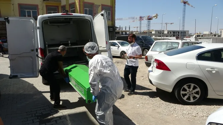 O ilimizde korkunç görüntü: Geriye sadece kemikleri kalmış