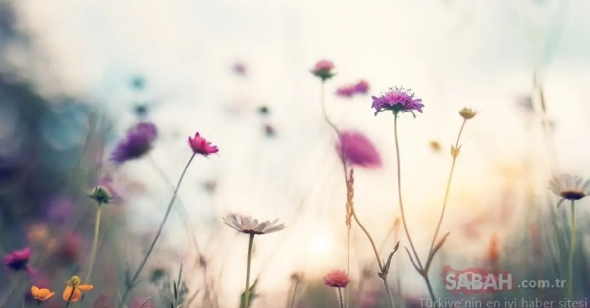 nevruz bayrami nedir nevruz bayrami