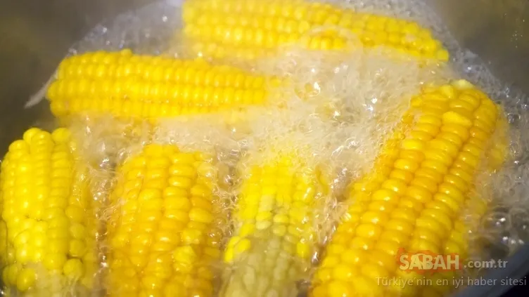 Kansere neden olan 14 tehlikeli gıda