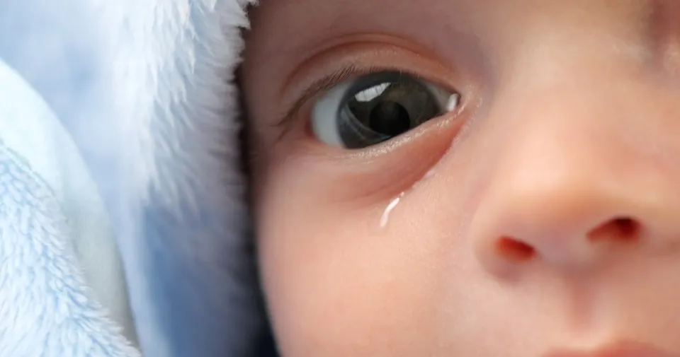 Yenidoğan bebeklerdeki gözyaşı tıkanıklığına dikkat Yenidoğan bebeklerdeki gözyaşı tıkanıklığına dikkat