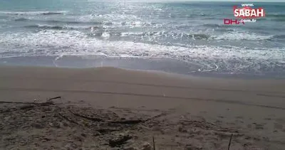 Plastik ham maddesi sahil kumlarına karıştı! Bir avuç kumda 200 tane var! | Video