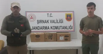 Şırnak’ta yanlarında keklik yakalanan 3 şüpheliye 41 bin 766 TL ceza #sirnak