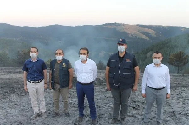 Çankırı Valisi Ayaz: Orman yangını kontrol altına alındı