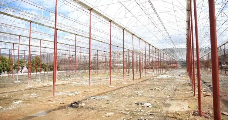 Alanya’da ilk ve tek olacak.. Tropikal Meyve Tanıtım Merkezi hayata geçiyor