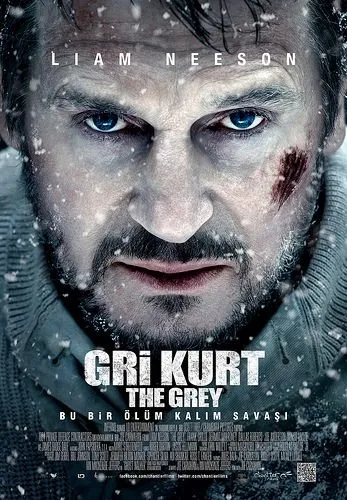 Gri Kurt filminden kareler