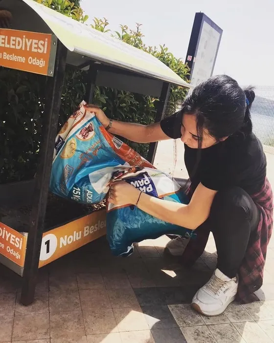 SON DAKİKA... Bursa’da aç kalan köpekler birbirini yemişti: CHP’li belediyenin barınağında kan donduran mama gerçeği!