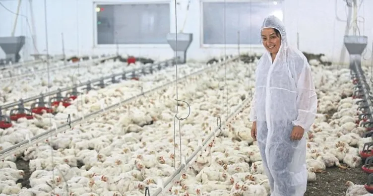 İşlerini bırakıp köye yerleştiler