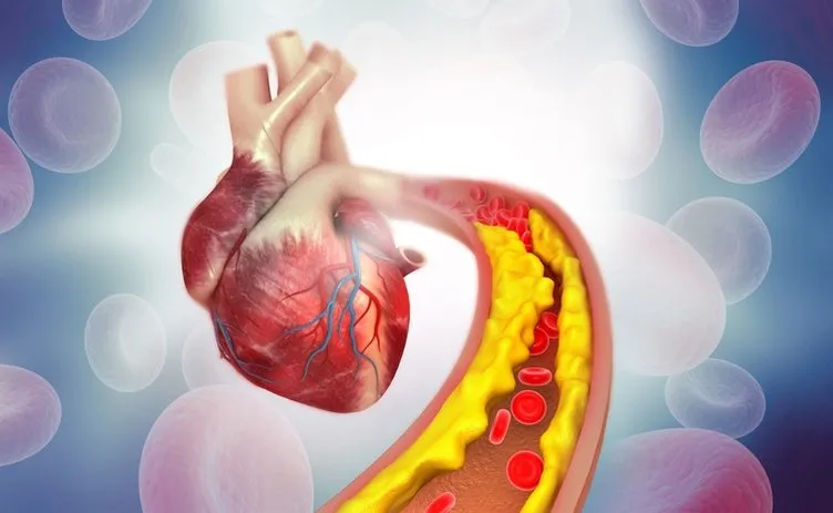Kardiyologdan uzun yaşam sırrı: Günde 40 gramı kalbinizi onlarca yaş gençleştirecek!