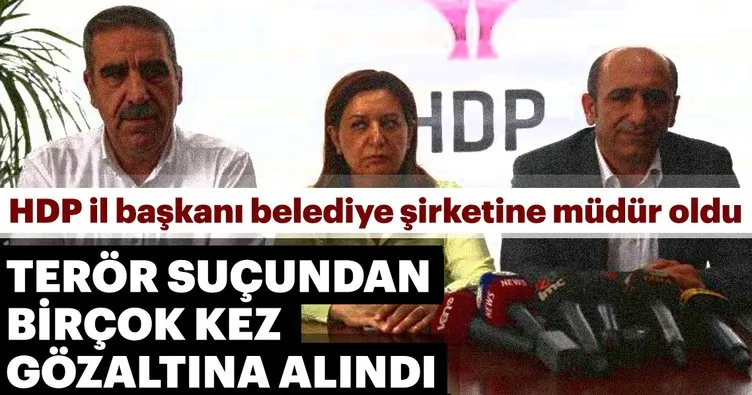 HDP il başkanı belediye şirketine müdür oldu!