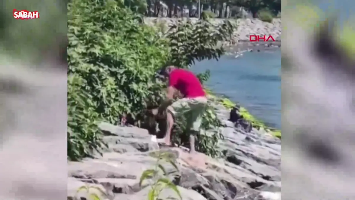 Avcılar Sahili’nde vicdanları sızlatan anlar: Köpeğe böyle şiddet uyguladı! | Video videosunu izle Avcılar Sahili’nde vicdanları sızlatan anlar: Köpeğe böyle şiddet uyguladı! | Video videosunu izle