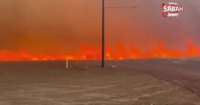 Arizona’da orman yangını şiddetli rüzgarın etkisiyle giderek yayılıyor | Video