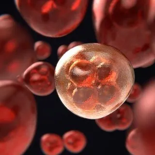 Kanserin bir numaralı düşmanı!