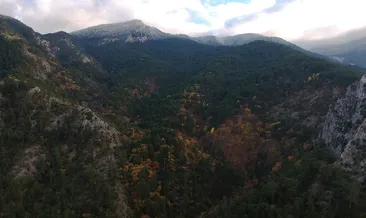 Rüyada papaz görmek ne anlama gelir?