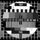 TRT, uydu televizyon yayınını başlattı.