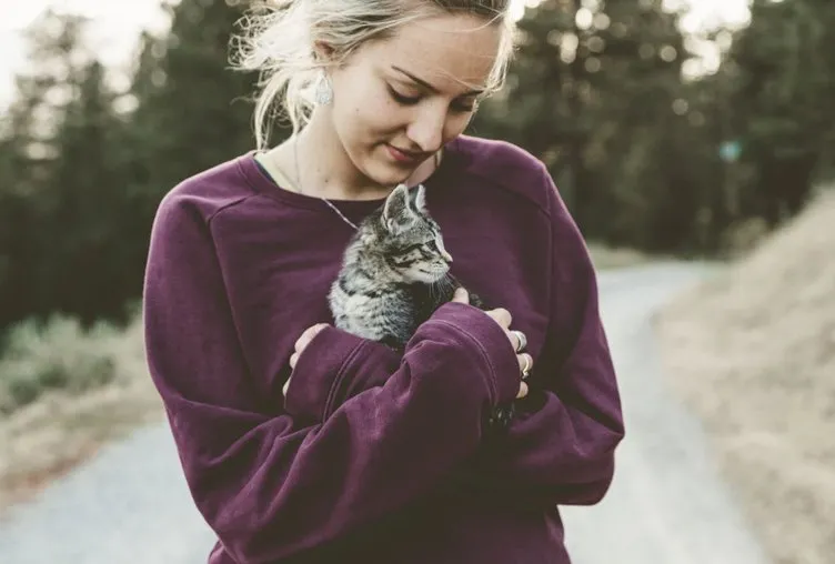 Kedi seven insanların ortak özelliği buymuş! Kadın Haberleri