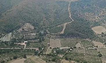 İzmir'de ormanlık alanda çıkan yangın söndürüldü #izmir