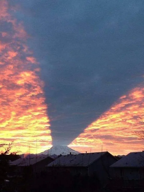 Konuşan fotoğraflar!