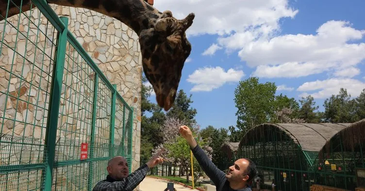 Türkiye’nin en büyük hayvanat bahçesinde bahar hazırlığı