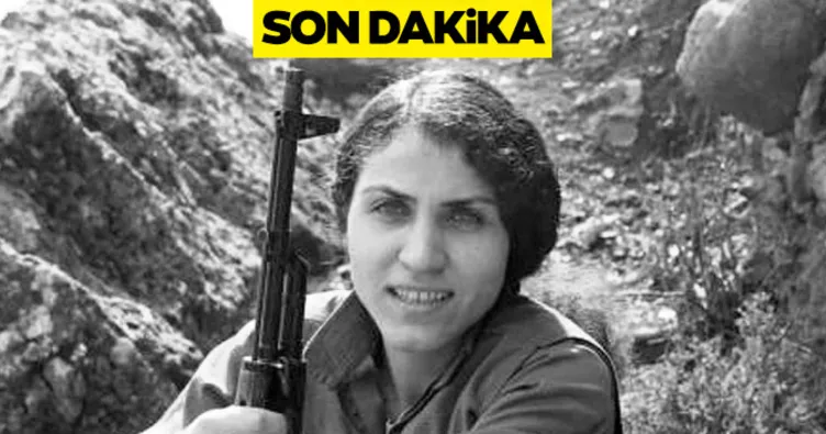 Son dakika haberi: Bomba getiren kadın terörist havada vuruldu