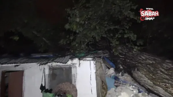 15 metrelik ağaç iki müstakil evin çatısına devrildi | Video
