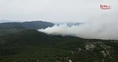 Muğla’da orman yangını! Büyümeye devam ediyor | Video