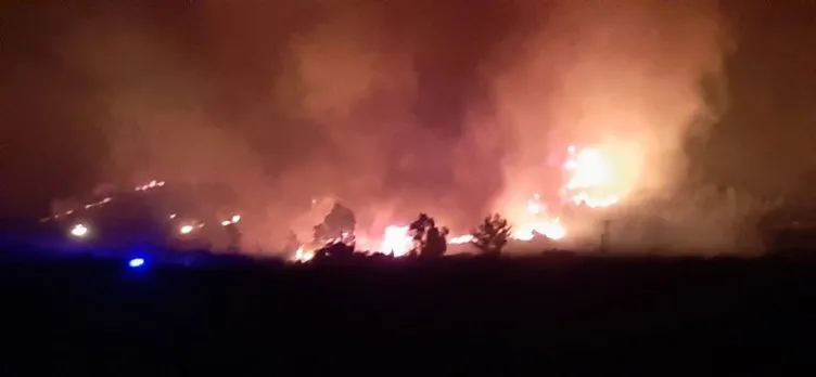 Son dakika! Hatay'daki yangında son durum! Bakan Pakdemirli'den yangında sabotaj iddialarına açıklama