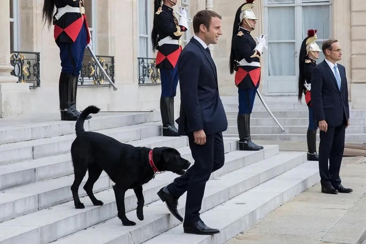 Cumhurbaşkanı Macron'u utandıran o anlar...