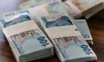 Türk lirasına geçiş hızlandı! Yerlilerin varlıkları milli geliri aştı