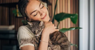 Kediler favori insanlarını nasıl seçerler? Sebebini duyunca çok şaşıracaksınız…