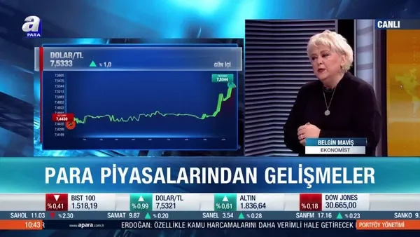 Ekonomist Belgin Maviş: Değerli euro istemiyoruz imajı yaratıldı