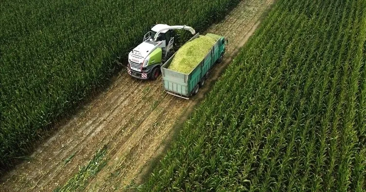 Tarım ÜFE şubat verileri belli oldu