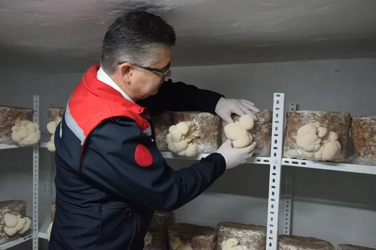 Evinin bodrumunda üretiyor servet kazanıyor: Kilosu 2 bin lira!