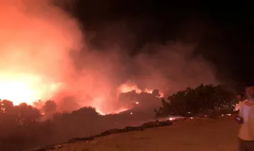 Son dakika: Çeşme’de otluk alanda yangın!