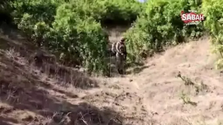Bitlis'te Yıldırım 12 Beşkaynak Operasyonu başlatıldı | Video