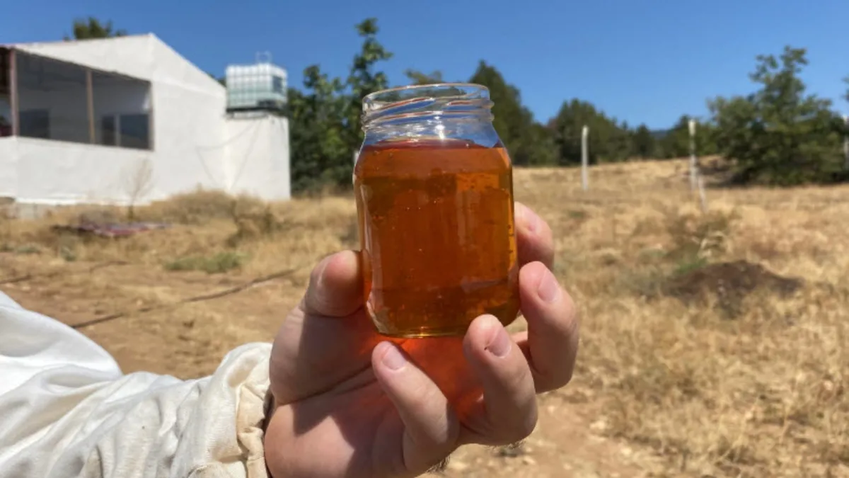 Fransızlar ayakta alkışladı: Dünyanın en iyi balı Eskişehir’den çıktı