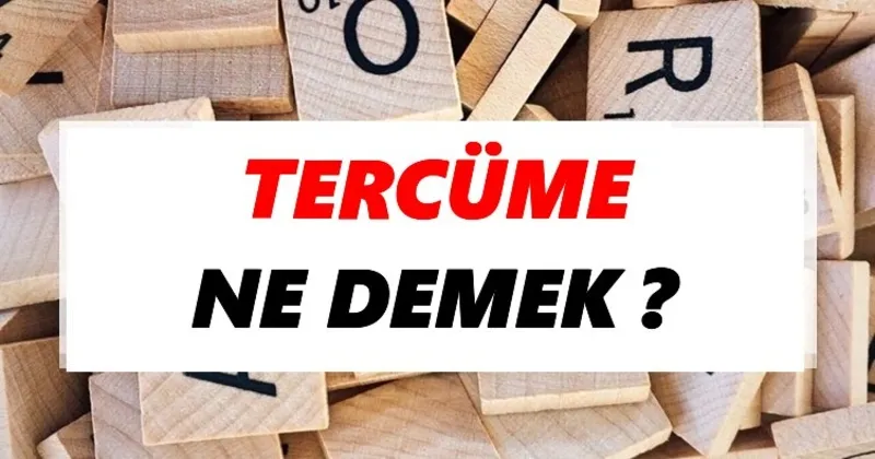 tercume ne demek tdk ya gore tercume sozluk anlami nedir tdk anlami haberleri