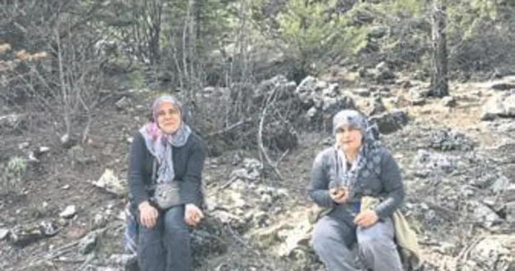 Mantarın kilosu 200 lira oldu